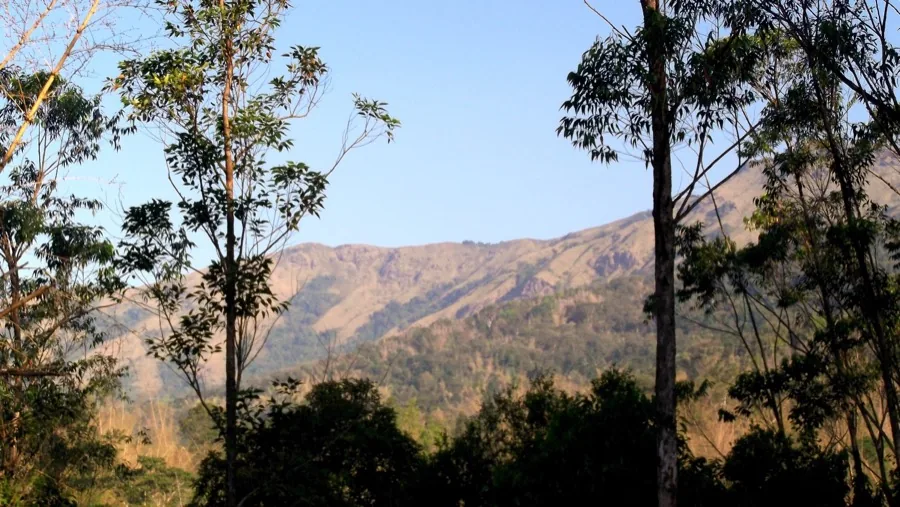 Brahmagiri Hills trek, Wayanad