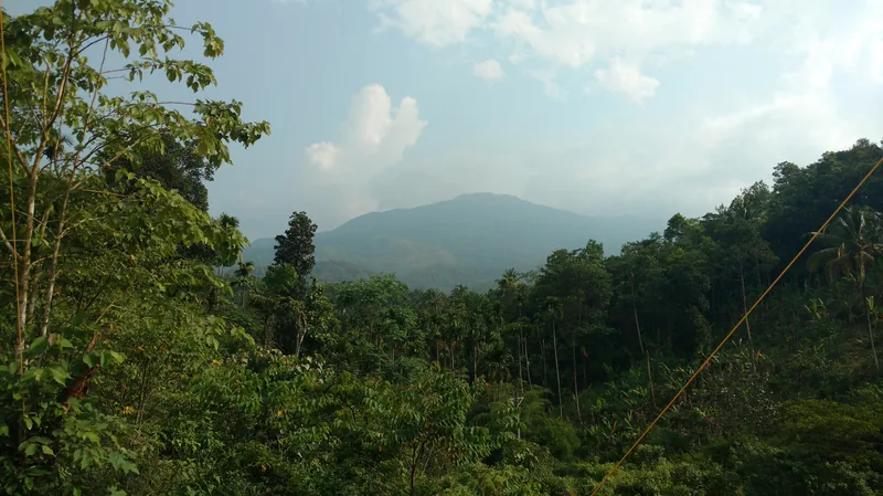 Karalad Lake, Wayanad