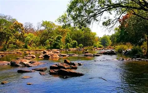 Kuruva Island