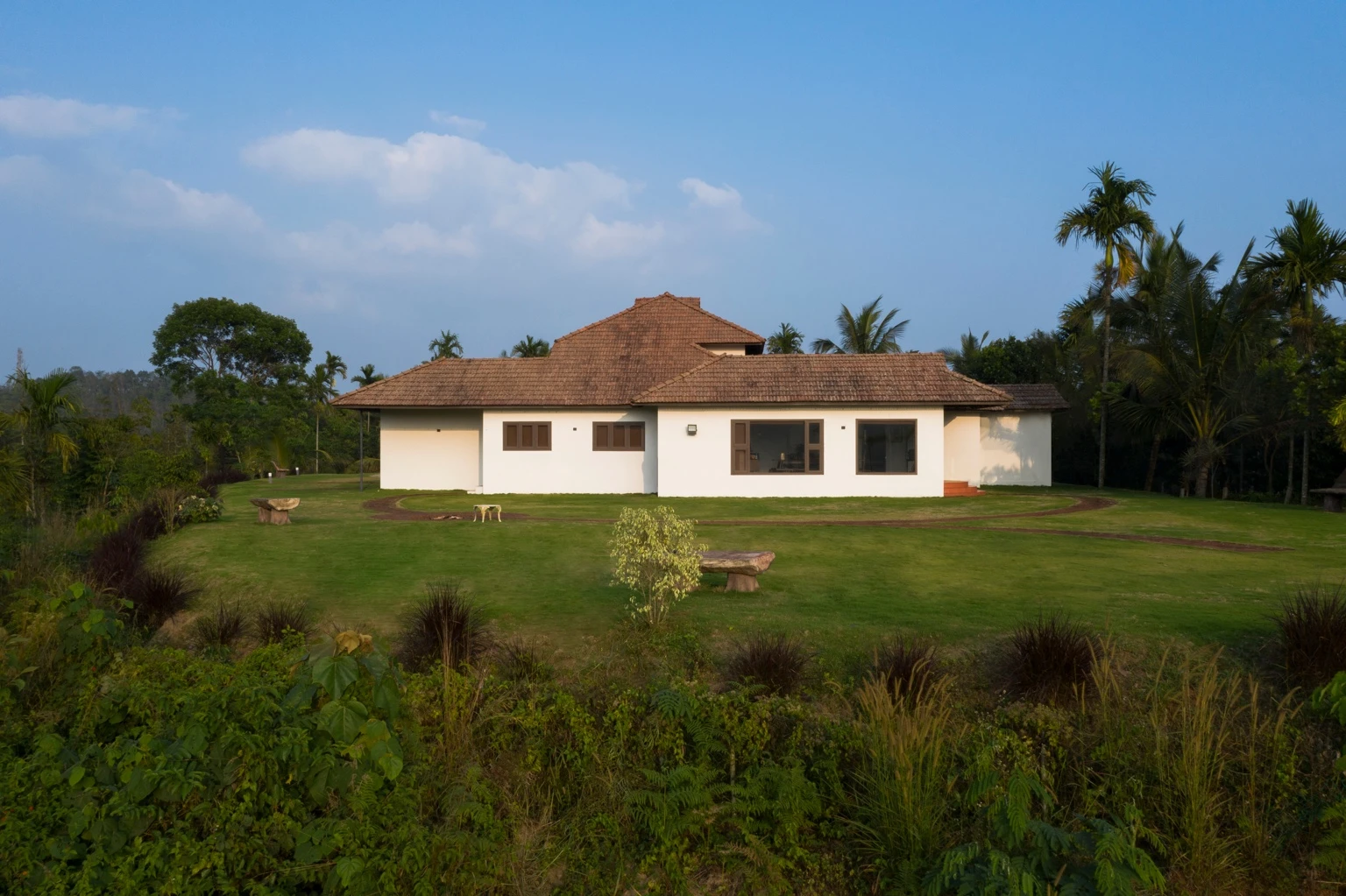 Back View